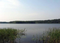 Участок 32,3 Га у озер Уклейно и Ужо в Псковской области