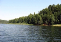 Участок ДНП 45 Га на берегу озер Ужо и Уклейно в Псковской области