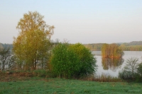 Участок 29 Га на берегу озера Але в Псковской области