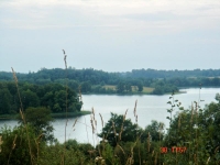 Участок 28,1 Га на берегу озера Ужо в Псковкой области