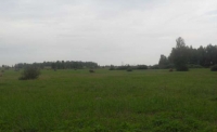 Несколько участков общей площадью 250 га, дер. Шилово в Псковской области