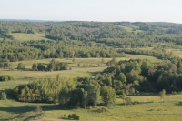 Земельный участок 34 гектара у деревни Овинчище