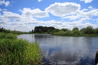 Участок 40 Га у берега озера Закарасенье в Новгородской области
