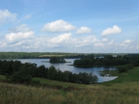 Участок 61,3 Га у озера Але в Псковской области