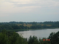 Участок ДНП 43 Га на берегу озера Ужо в Псковской области
